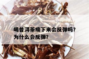 喝普洱茶瘦下来会反弹吗？为什么会反弹？