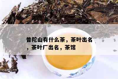 普陀山有什么茶，茶叶出名，茶叶厂出名，茶馆