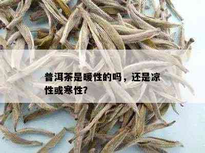 普洱茶是暖性的吗，还是凉性或寒性？