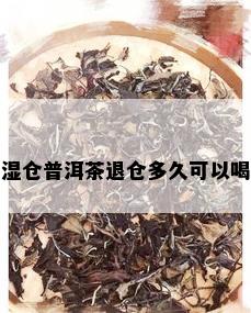 湿仓普洱茶退仓多久可以喝