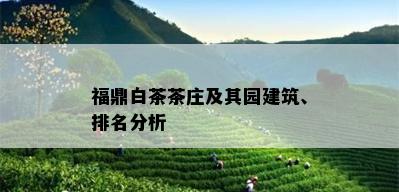 福鼎白茶茶庄及其园建筑、排名分析