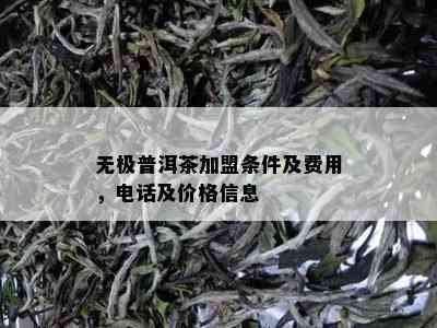 无极普洱茶加盟条件及费用，电话及价格信息