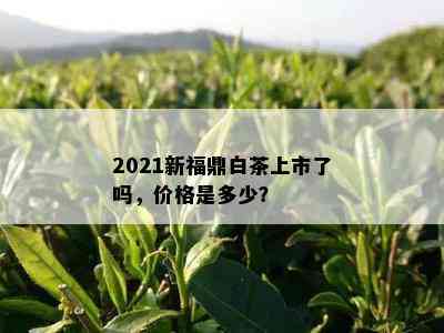 2021新福鼎白茶上市了吗，价格是多少？