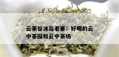 云茶谷冰岛老寨：好喝的云中茶园和云中茶坊