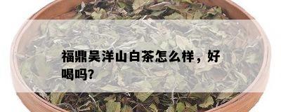 福鼎吴洋山白茶怎么样，好喝吗？