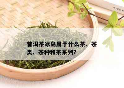 普洱茶冰岛属于什么茶、茶类、茶种和茶系列？