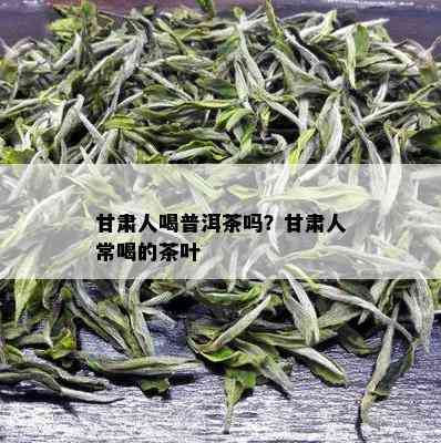 甘肃人喝普洱茶吗？甘肃人常喝的茶叶