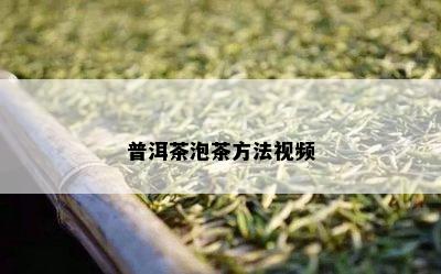 普洱茶泡茶方法视频