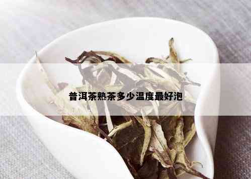 普洱茶熟茶多少温度更好泡