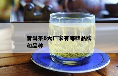 普洱茶6大厂家有哪些品牌和品种