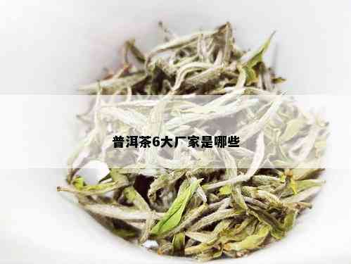 普洱茶6大厂家是哪些