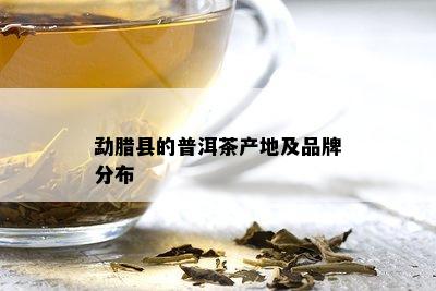 勐腊县的普洱茶产地及品牌分布