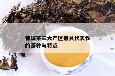 普洱茶三大产区更具代表性的茶种与特点