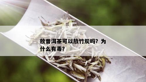 放普洱茶可以放竹炭吗？为什么有？