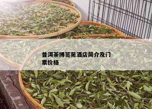 普洱茶博览苑店简介及门票价格