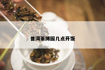 普洱茶博园几点开饭