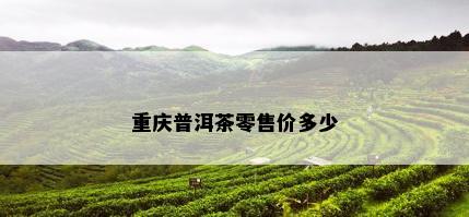 重庆普洱茶零售价多少