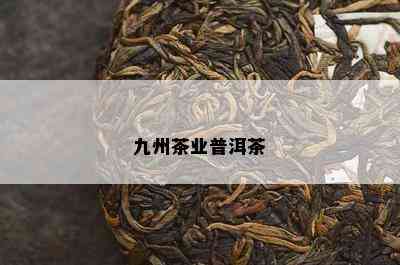 九州茶业普洱茶