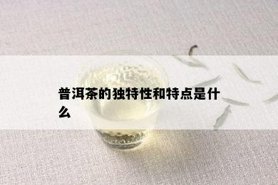 普洱茶的独特性和特点是什么