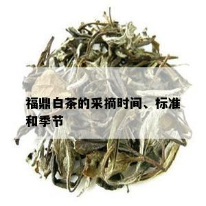 福鼎白茶的采摘时间、标准和季节