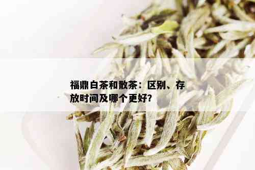 福鼎白茶和散茶：区别、存放时间及哪个更好？