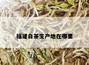 福建白茶生产地在哪里