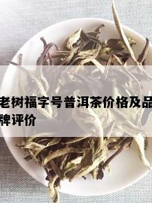 老树福字号普洱茶价格及品牌评价