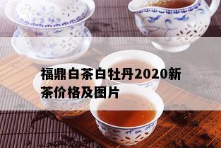 福鼎白茶白牡丹2020新茶价格及图片