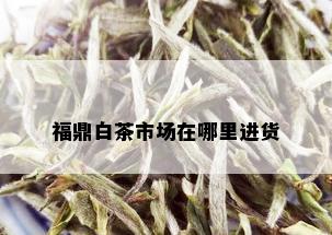 福鼎白茶市场在哪里进货