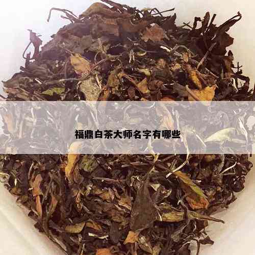 福鼎白茶大师名字有哪些