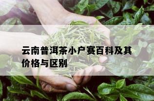 云南普洱茶小户赛百科及其价格与区别