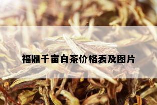 福鼎千亩白茶价格表及图片