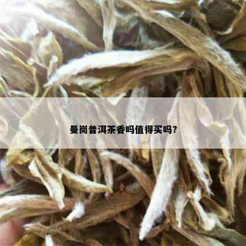 曼岗普洱茶香吗值得买吗?