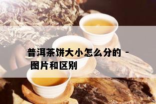 普洱茶饼大小怎么分的 - 图片和区别