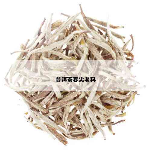 普洱茶春尖老料