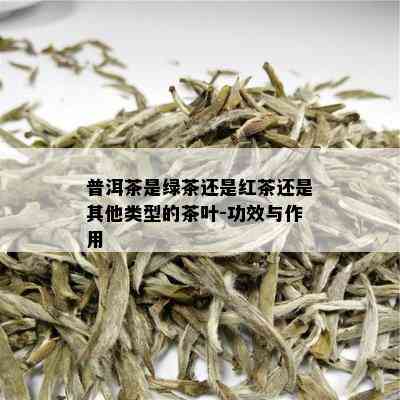 普洱茶是绿茶还是红茶还是其他类型的茶叶-功效与作用