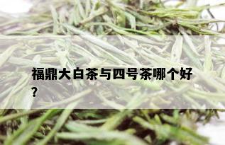 福鼎大白茶与四号茶哪个好？