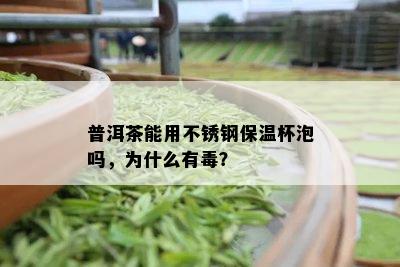 普洱茶能用不锈钢保温杯泡吗，为什么有？