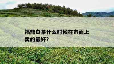 福鼎白茶什么时候在市面上卖的更好？