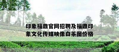 印象福鼎官网招聘及福鼎印象文化传媒映像白茶图价格