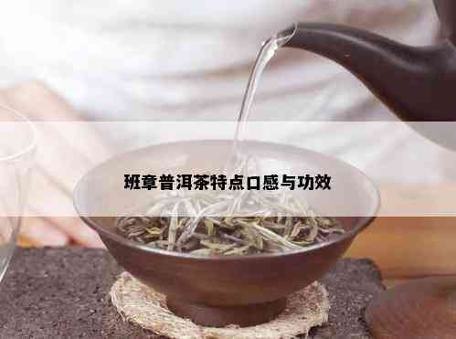 班章普洱茶特点口感与功效