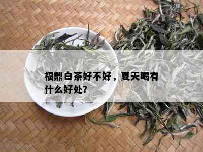 福鼎白茶好不好，夏天喝有什么好处？