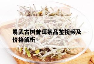 易武古树普洱茶品鉴视频及价格解析