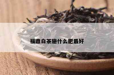 福鼎白茶施什么肥更好