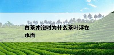 白茶冲泡时为什么茶叶浮在水面