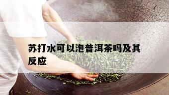 苏打水可以泡普洱茶吗及其反应