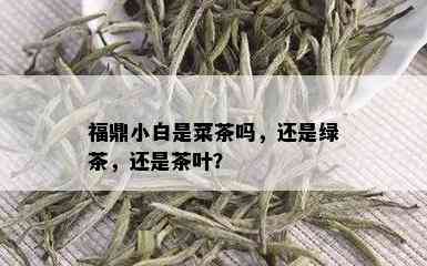 福鼎小白是菜茶吗，还是绿茶，还是茶叶？