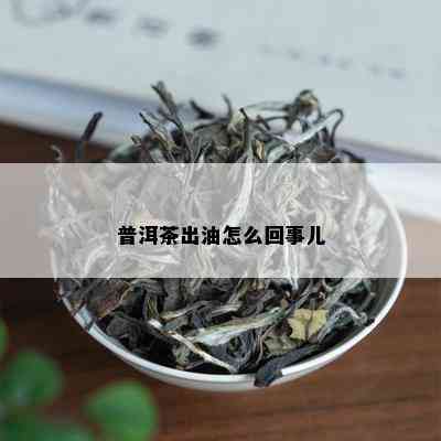 普洱茶出油怎么回事儿