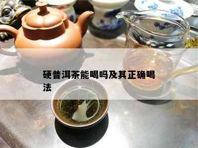 硬普洱茶能喝吗及其正确喝法