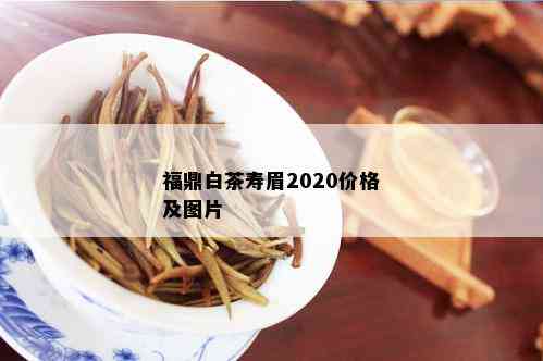 福鼎白茶寿眉2020价格及图片